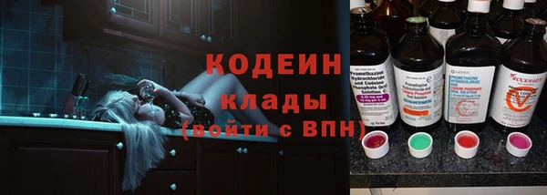 ГАЛЛЮЦИНОГЕННЫЕ ГРИБЫ Кукмор