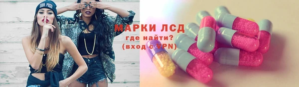 ГАЛЛЮЦИНОГЕННЫЕ ГРИБЫ Кукмор