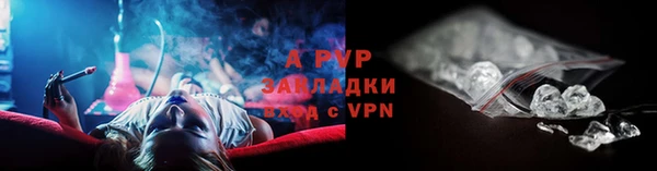ГАЛЛЮЦИНОГЕННЫЕ ГРИБЫ Кукмор