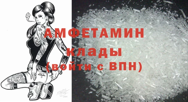 ГАЛЛЮЦИНОГЕННЫЕ ГРИБЫ Кукмор