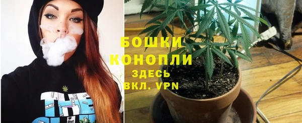 ГАЛЛЮЦИНОГЕННЫЕ ГРИБЫ Кукмор