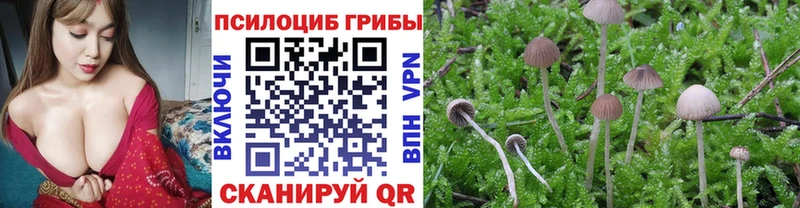 Галлюциногенные грибы Magic Shrooms  Ангарск 