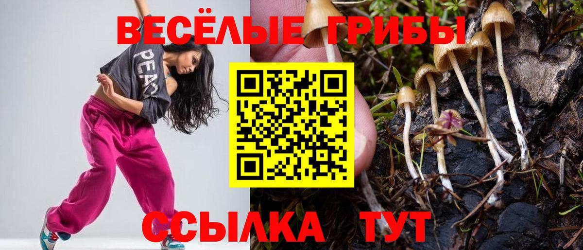 Псилоцибиновые грибы Magic Shrooms  Вход с VPN  Ангарск 